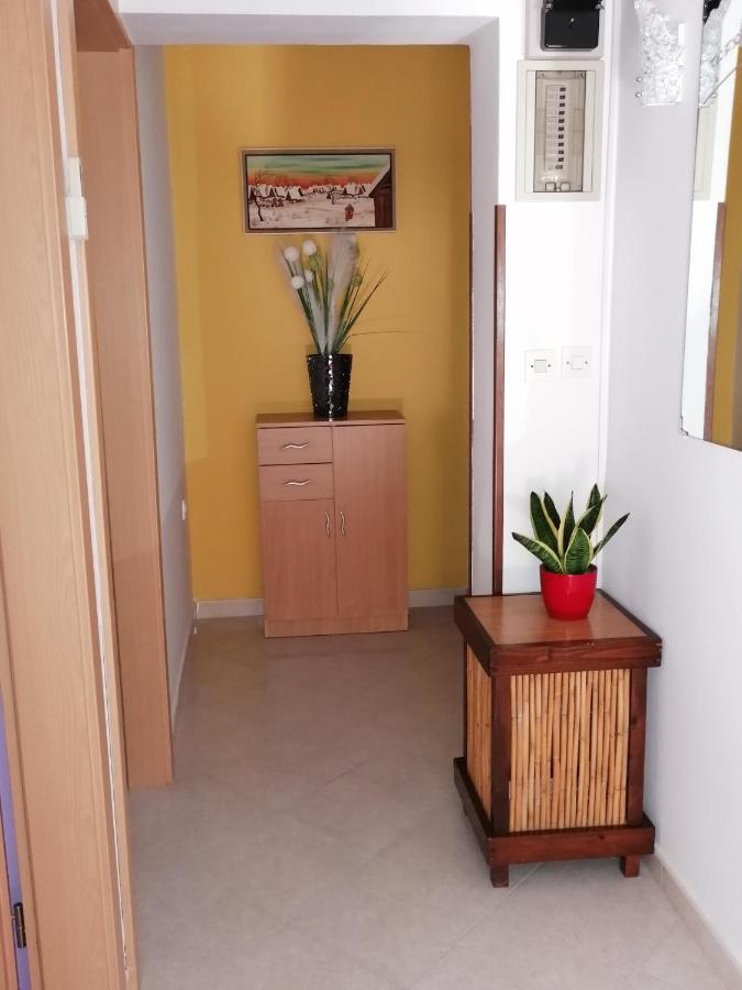 Apartman Bruna Novigrad Istria Buitenkant foto